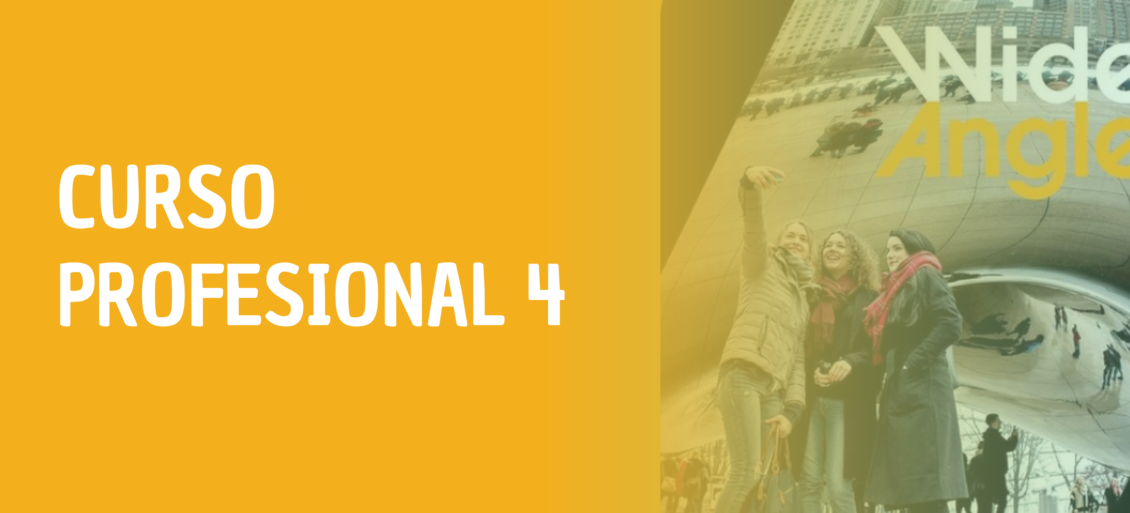 INGLES 4 PROFESIONAL